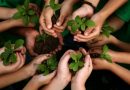 Jornada de Plantación Distrital para celebrar el Día Mundial del Árbol