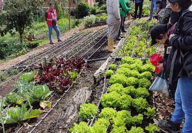 “ConCiencia por los Cerros de Bogotá” actividad educativa abierta y gratuita liderada por el Jardín Botánico