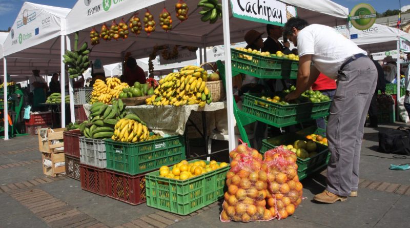 Aliste el canasto para llevar los mejores productos de los Mercados campesinos en Bogotá