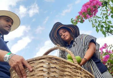 Sin campo no hay vida, celebremos el Día Internacional de la Lucha Campesina
