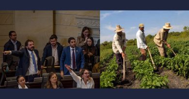 Golpe a la reforma rural y a los derechos del campesinado de Colombia