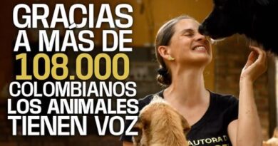 Elecciones 2026: Andrea Padilla quiere mantener su curul en el Senado para “crear Estado” para los animales