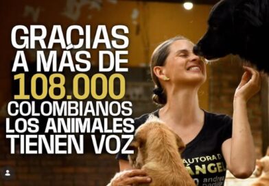 Elecciones 2026: Andrea Padilla quiere mantener su curul en el Senado para “crear Estado” para los animales