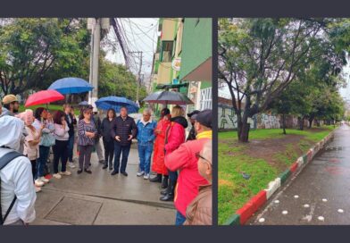 Resistencia ciudadana por posible tala de árboles en corredor comunitario en Ciudad Bolívar