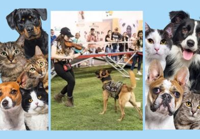 Expopet 101 oportunidades para encontrar el amor peludo en 2026