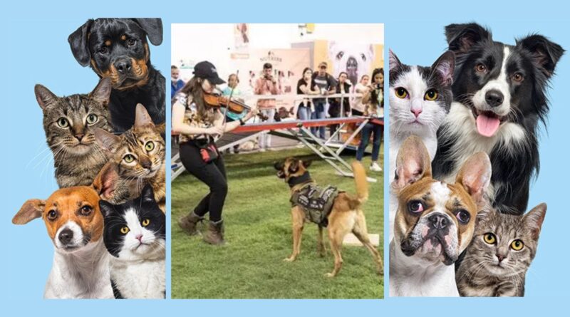 Expopet 101 oportunidades para encontrar el amor peludo en 2026