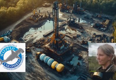 Sandra Bessudo, el fracking y las redes de poder que financian la conservación