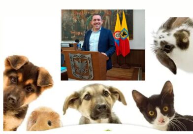 Bogotá avanza hacia el proyecto de bienestar animal más ambicioso de Latinoamérica