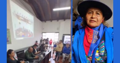 Bibliotecas comunitarias se quedan sin recursos tras votación en la JAL de Suba