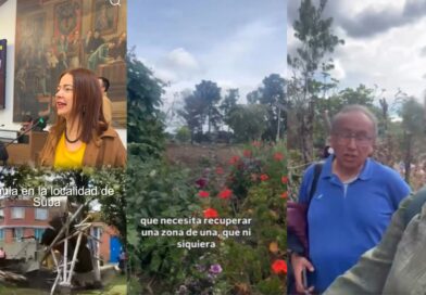 Huerta comunitaria destruida en polémica intervención en Suba