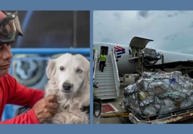 El corazón solidario de Bogotá llegó a Venezuela con 14 toneladas de ayuda para perros y gatos sobrevivientes