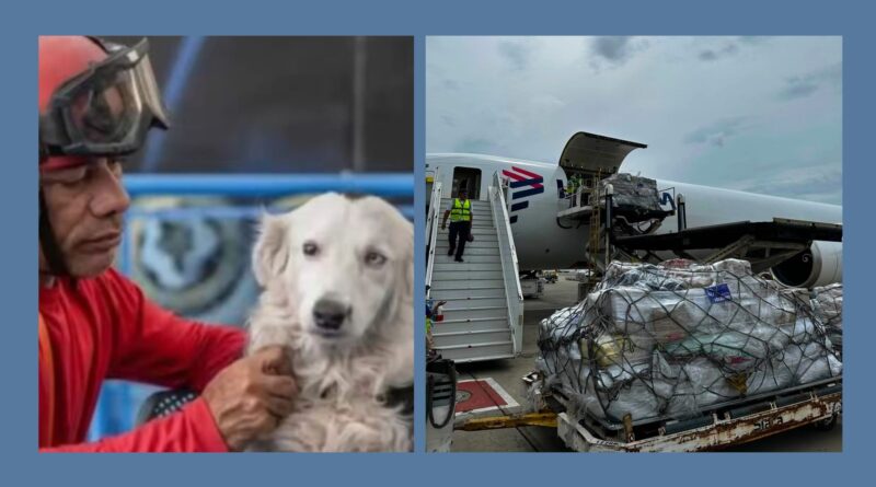 El corazón solidario de Bogotá llegó a Venezuela con 14 toneladas de ayuda para perros y gatos sobrevivientes