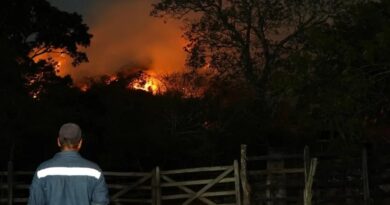 CAR despliega brigadistas para controlar quemas ilegales y prevenir incendios forestales