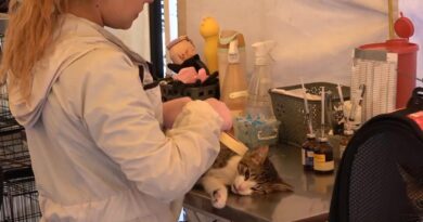 Villa Hermosa vivió jornada de amor y cuidado por las mascotas de Suba