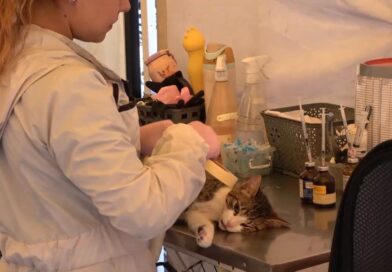 Villa Hermosa vivió jornada de amor y cuidado por las mascotas de Suba