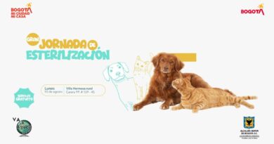 La Alcaldía Local de Suba invita a una gran jornada gratuita de esterilización para perros y gatos en Villa Hermosa Rural