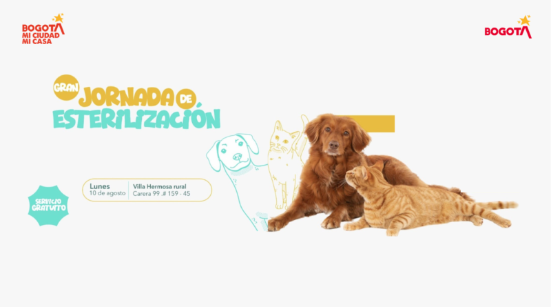 La Alcaldía Local de Suba invita a una gran jornada gratuita de esterilización para perros y gatos en Villa Hermosa Rural