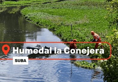 Intervienen 1.720 m² del Humedal La Conejera para proteger su ecosistema