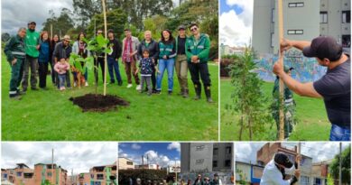 Cinco parques de Suba se renaturalizaron con más de 100 nuevos árboles y arbustos