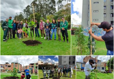 Cinco parques de Suba se renaturalizaron con más de 100 nuevos árboles y arbustos
